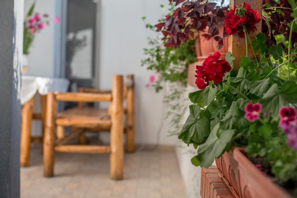 Guesthouse Juli Sapareva Banya Ngoại thất bức ảnh